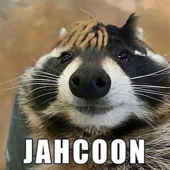 Meet your Posher, Dan - Picture 1 of 1